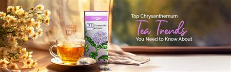 Chrysanthemum Tea: Health Benefits and Trending Uses - Chymey Teas