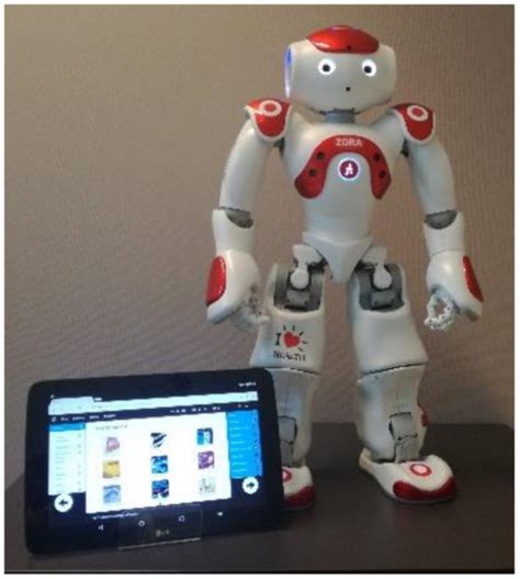 Two-Year Use of Care Robot Zora in Dutch Nursing Homes: An Evaluation Study