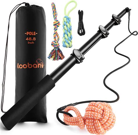 Pet Supplies : LOOBANI Upgraded Flirt Pole for Dogs, Extendable Dog ...