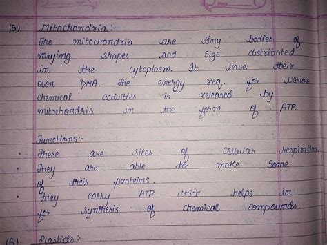 How mitochondria able to produce its own protein ? - Brainly.in