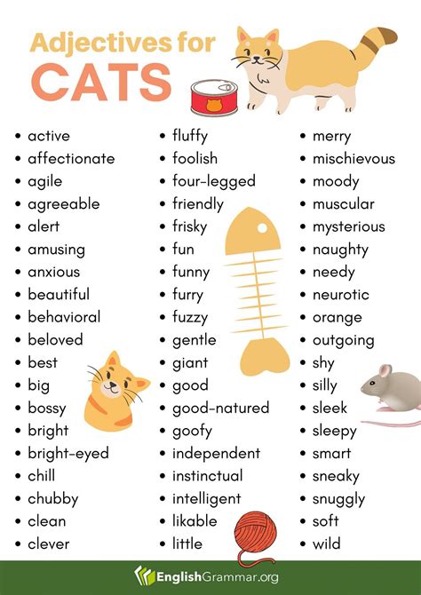 Describe a Cat in 30 Words - Garciatrust