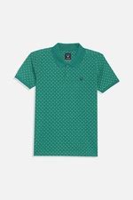 Buy Boys Green Regular Fit Print Polo Neck T-shirt Online - 39710383 ...