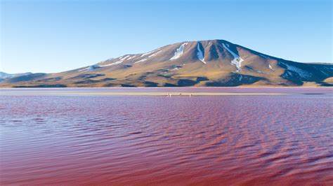 A local's guide to La Paz, Bolivia | Condé Nast Traveller India