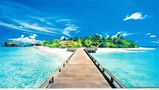Summer Best Home Screen Wallpapers by Summer 2018 Wallpaper 75 Images Summer Best Home Screen Wallpapers