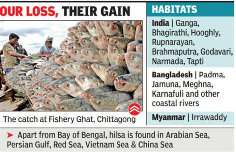 Bangladesh DRP Overview 2019 – SANDRP