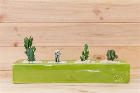 Habibi Cacti Planter | Handmade ceramic planter for succulents or cacti ...