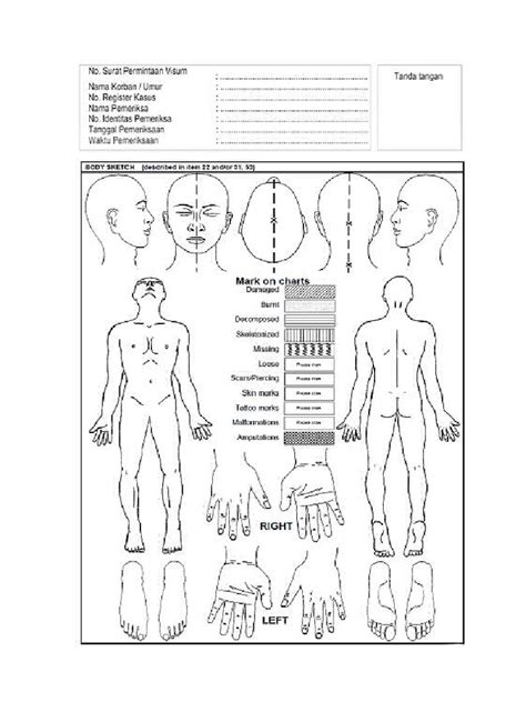 Image result for Short Stack Body Chart