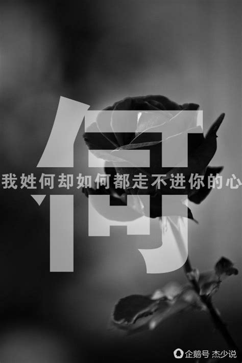 2022年出生的何姓孩子起名，灵动活泼的宝宝名字 - 哔哩哔哩