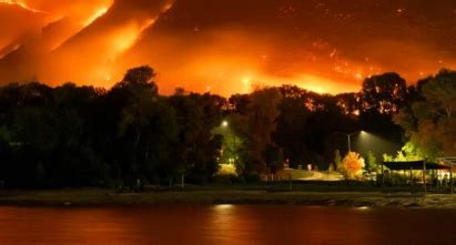 Environment - Nursery Today