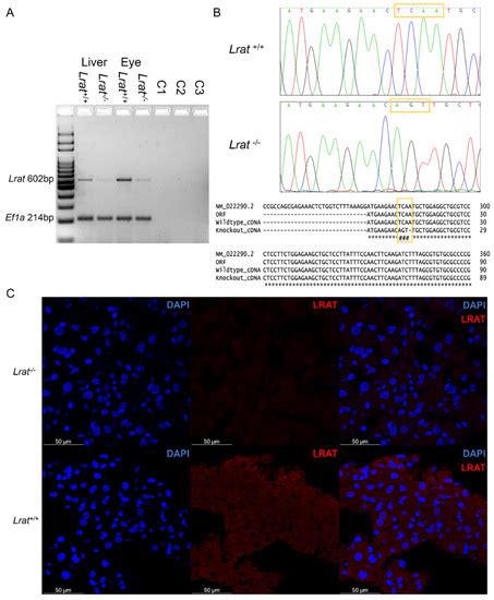 IJMS | July-1 2021 - Browse Articles