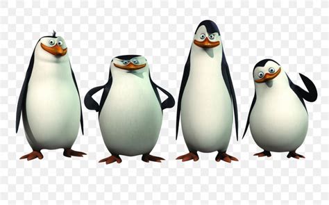 Rico Kowalski Skipper Penguin Madagascar, PNG, 1600x1000px, Rico, Beak ...