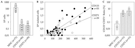Angiogenic Potential of Bone Marrow Derived CD133+ and CD271 ...