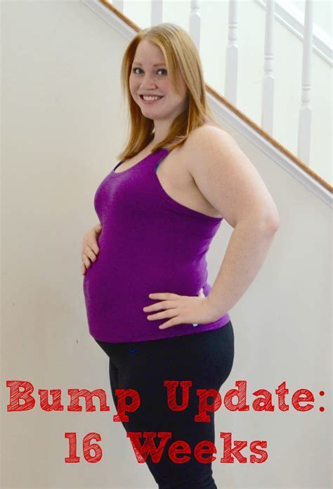 Plus Size Pregnancy Belly 16 Weeks