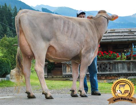 Show Type Sale an diesem Wochenende | agrarheute.com