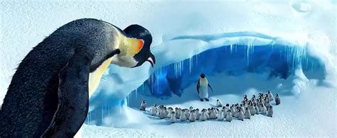 Image result for How to Initialize Python List