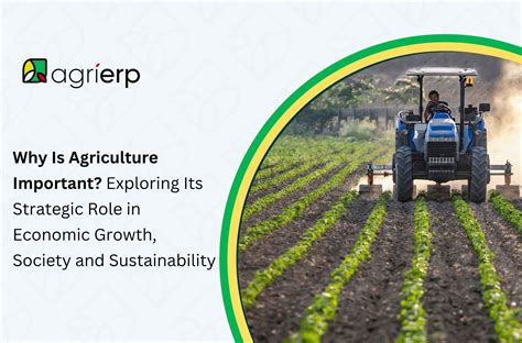 Why Is Agriculture Important: Benefits and Its Role Explained