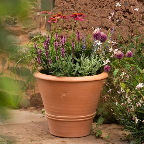 Pots, containers & hanging baskets - Waitrose Garden