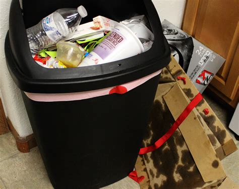 What Causes Roaches? 10 Reasons Cockroaches Like Your Home – Pest Hacks