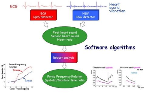 Software Algorithms 的图像结果