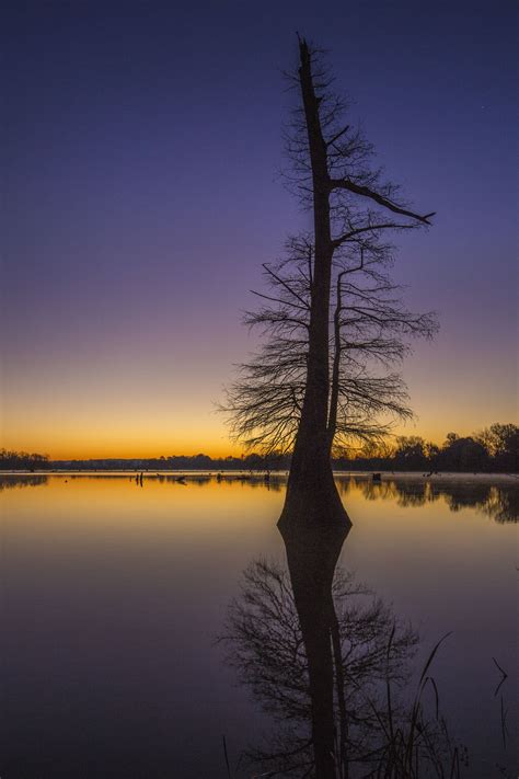 Appreciate God for the beauty of this earth, such as Dump Lake in Yazoo ...