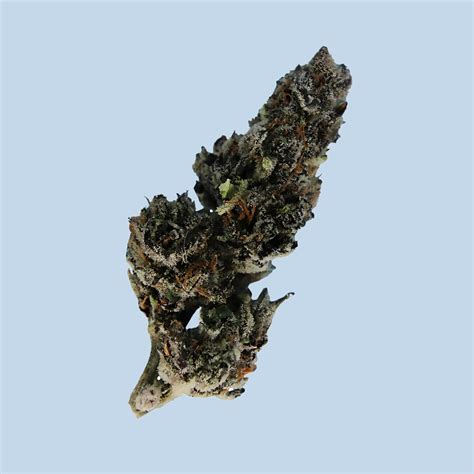 White Iverson AA - Seknd Nature