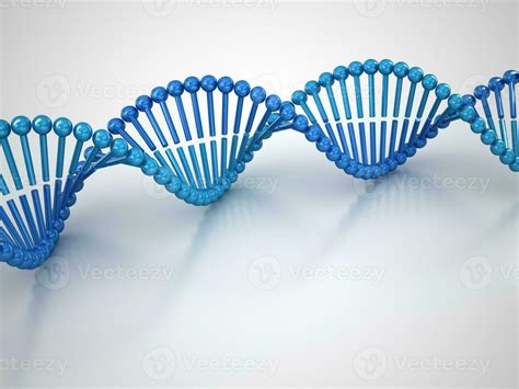Image result for DNA Molecule Structure