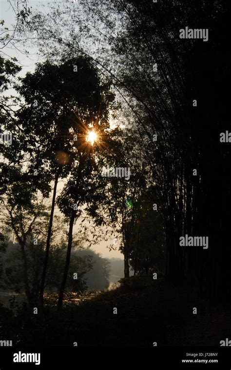 Photo 的图像结果