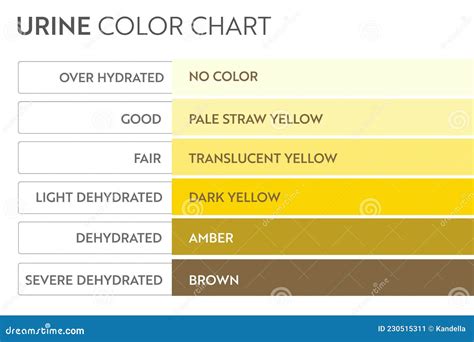 Dark Urine Color Chart