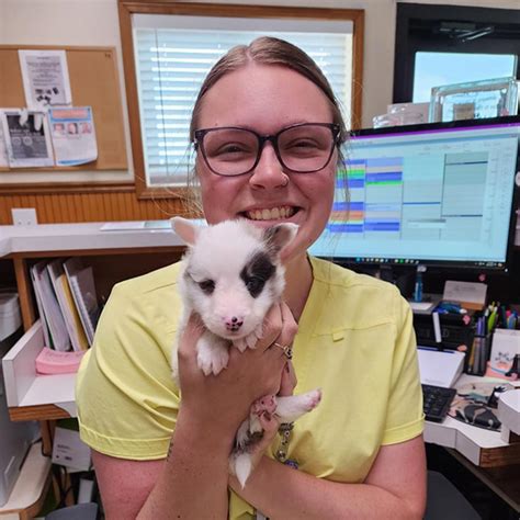 Veterinary Careers in Rochester, IN | Fulton County Veterinary Clinic