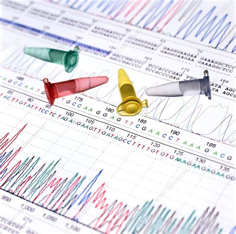 Image result for What Is DNA Analysis