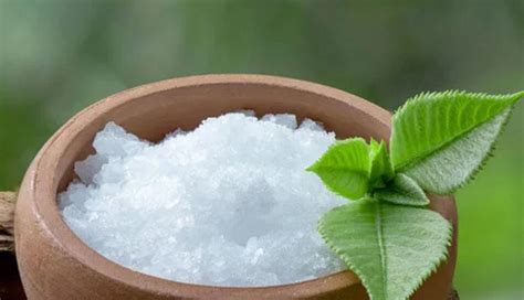 10 DIY Remedies To Grow Hair Back on Balding Forehead