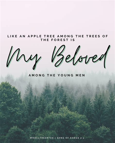 Image result for Audio Scriptures Love