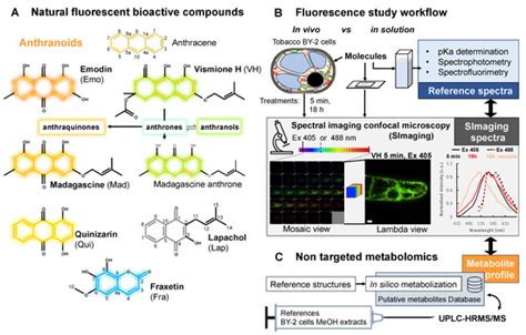 Metabolites | Special Issue : Advances in Plant Specialized Metabolites ...