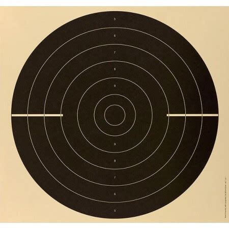 PR Scheibe 55x55cm geschlitzt 25 Stk, 12,90