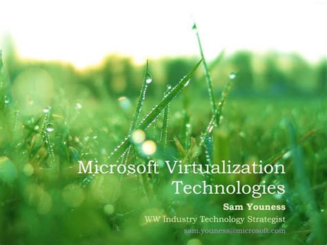 Image result for Data Virtualization Tools Microsoft
