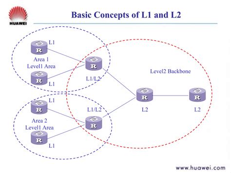 Image result for Is Is Routing Protocol