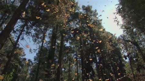 4 Stunning Reasons To Travel In October - Videos from The Weather Channel
