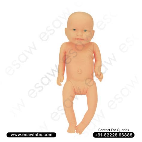 New Born Baby Model (Female) – Life-Size Neonatal Manikin for Nursing