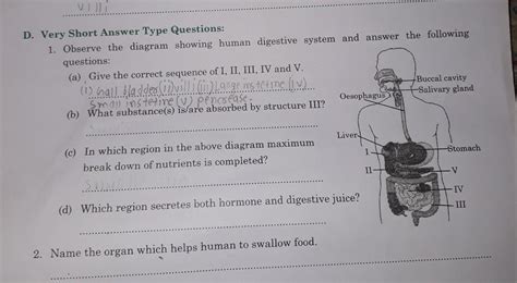 Short Answer Type Questionsjo pahle answers daga usa brainlist answers ...