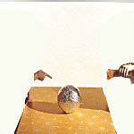 Understand the Moon Phases, School Project