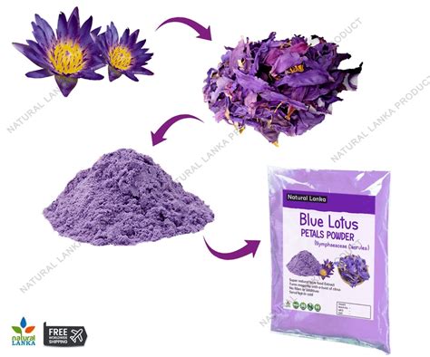 Buy BLUE LOTUS Nymphaea Caerulea Flower PETALS Powder Extract | Blue ...