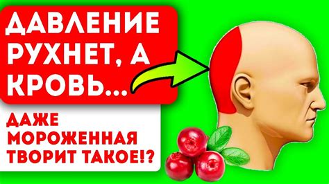 Клюква - натуральный помощник в снижении артериального давления