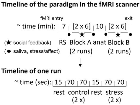Cognitive Stress Regulation in Schizophrenia Patients and Healthy ...