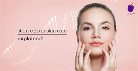 Stem cells in skin care: explained! – Plum
