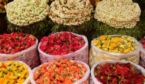 Flower Markets In Delhi | WhatsHot Delhi Ncr
