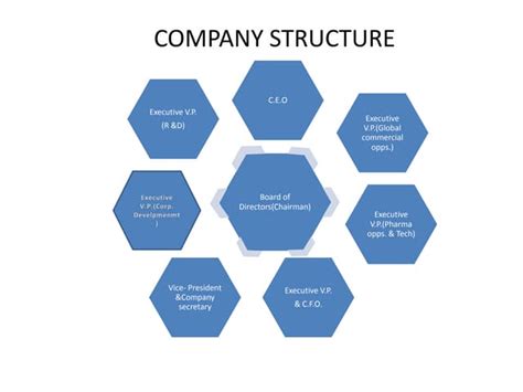 Function Structure of Company 的图像结果