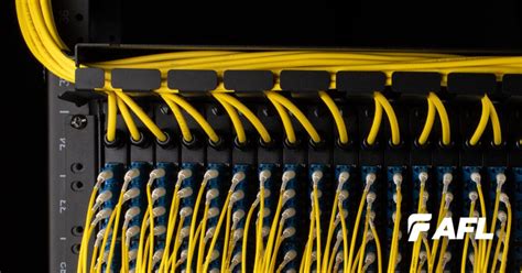 Image result for Python Program Cable Management