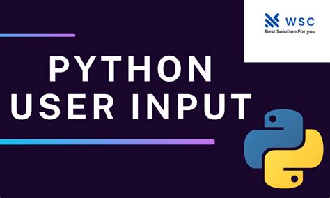 Image result for Python Web App with Input