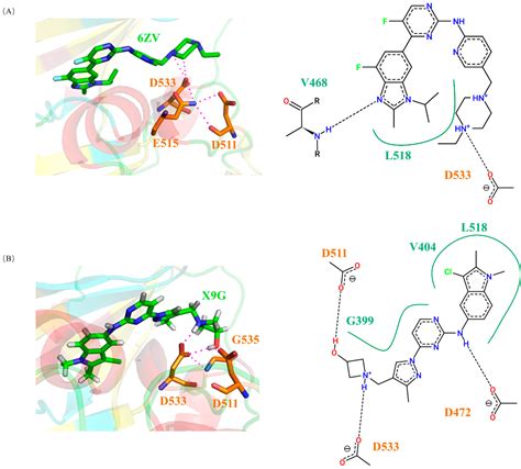 Molecular Mechanism of Mutational Disruption of DCLK1 Autoinhibition ...
