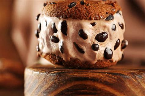 Chocolate Chip Ice Cream Recipe: How to Make Chocolate Chip Ice Cream ...